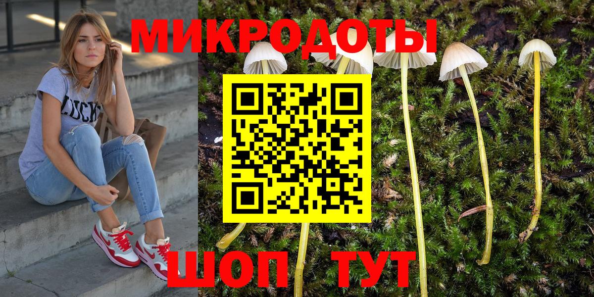 Галлюциногенные грибы MAGIC MUSHROOMS  Вход с VPN  Заречный 