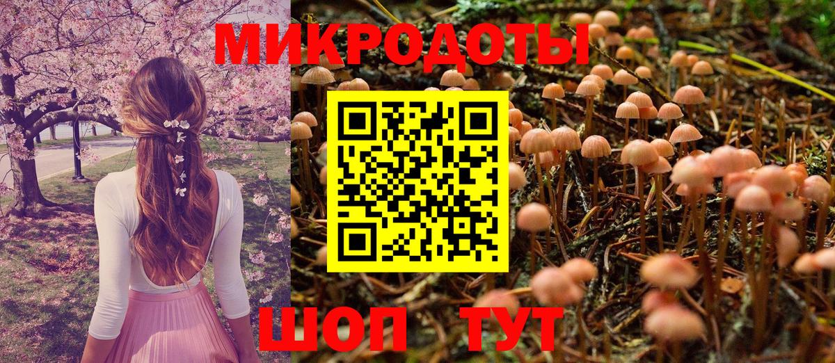 Псилоцибиновые грибы прущие грибы Заречный